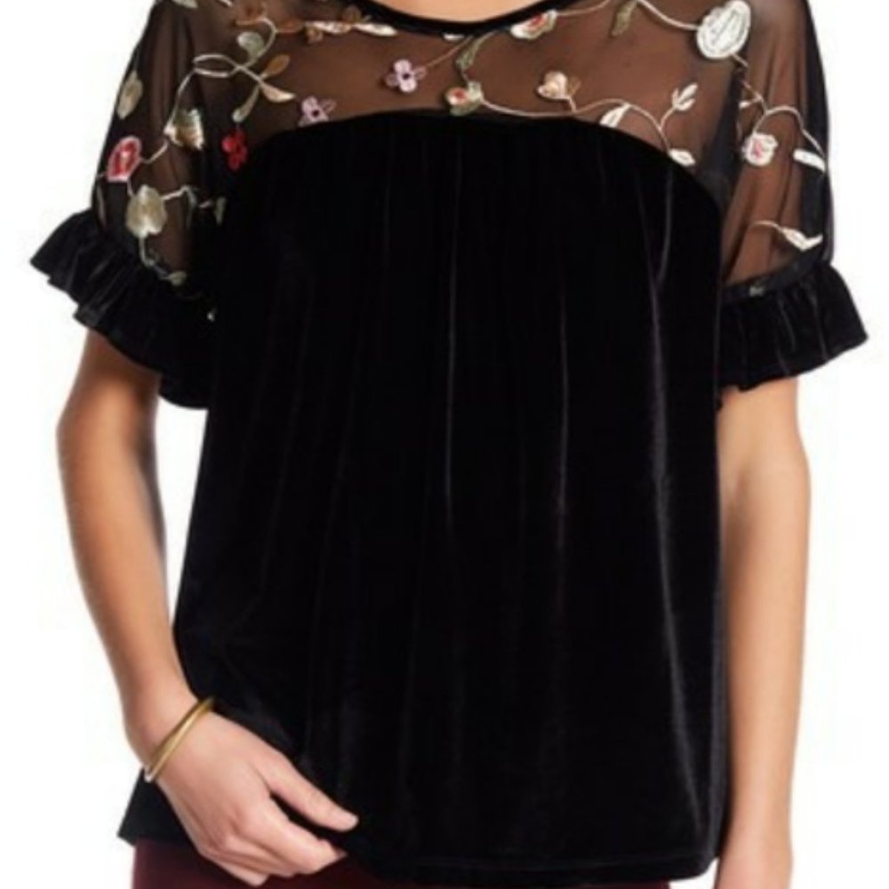 VELVET AND MESH EMBROIDERED TOP